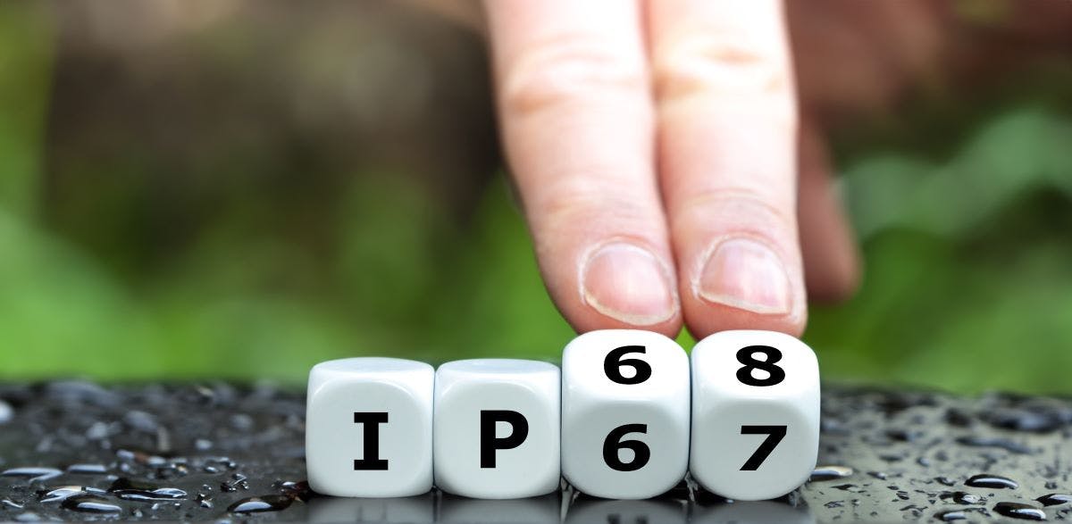 shutterstock_2365128383