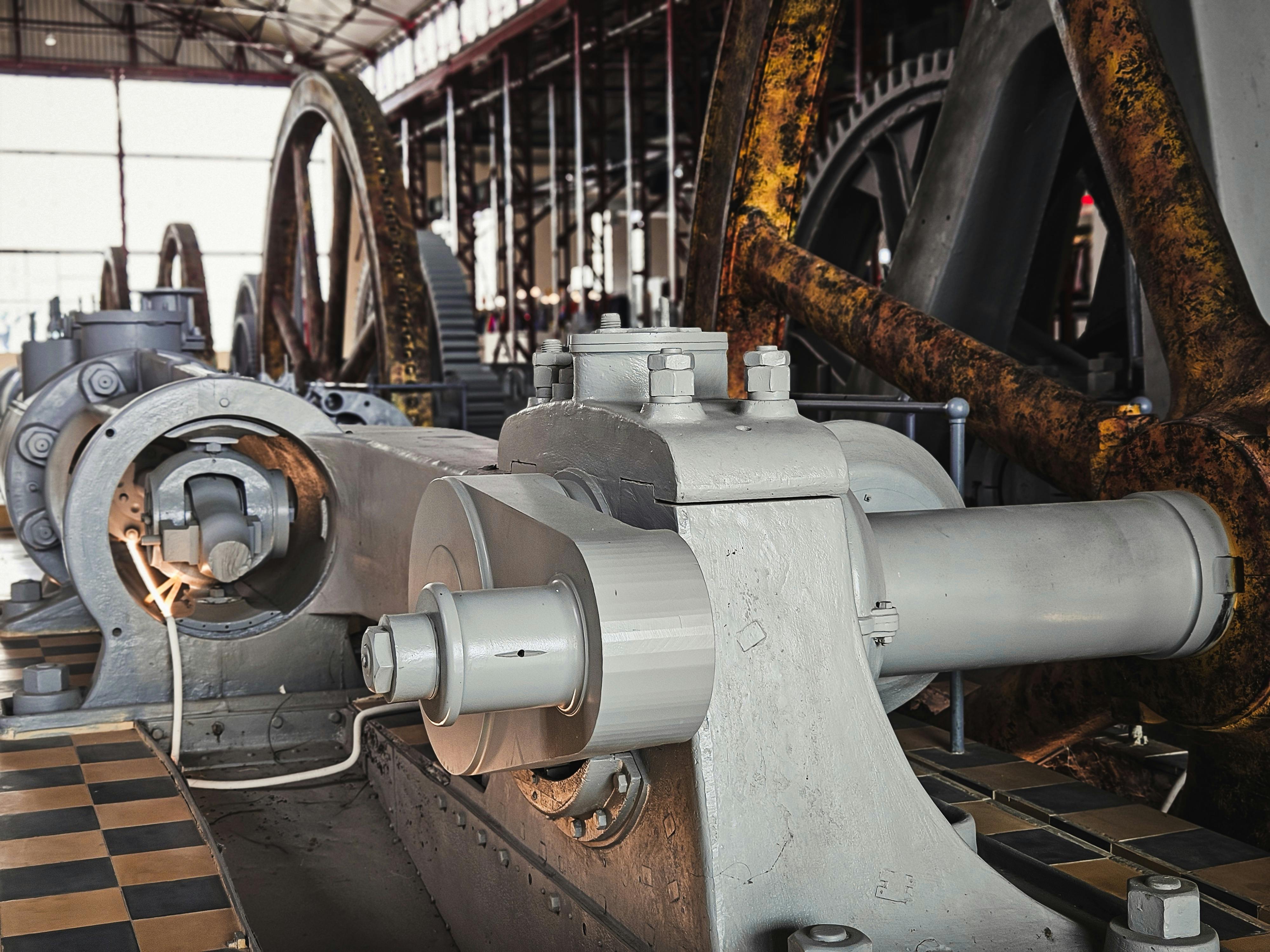 66c76f310b7d1e56cf49b83b Shutterstock 2456535985