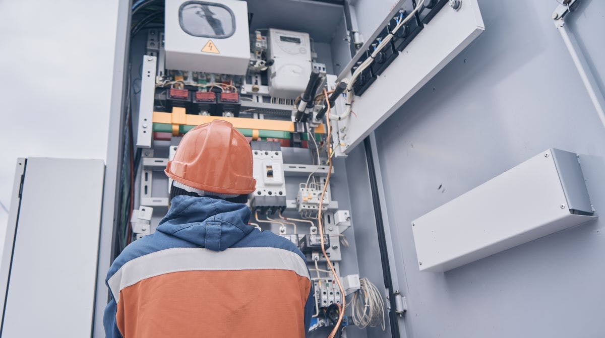 6707f9435f7542256bb93d73 Shutterstock 1967013889