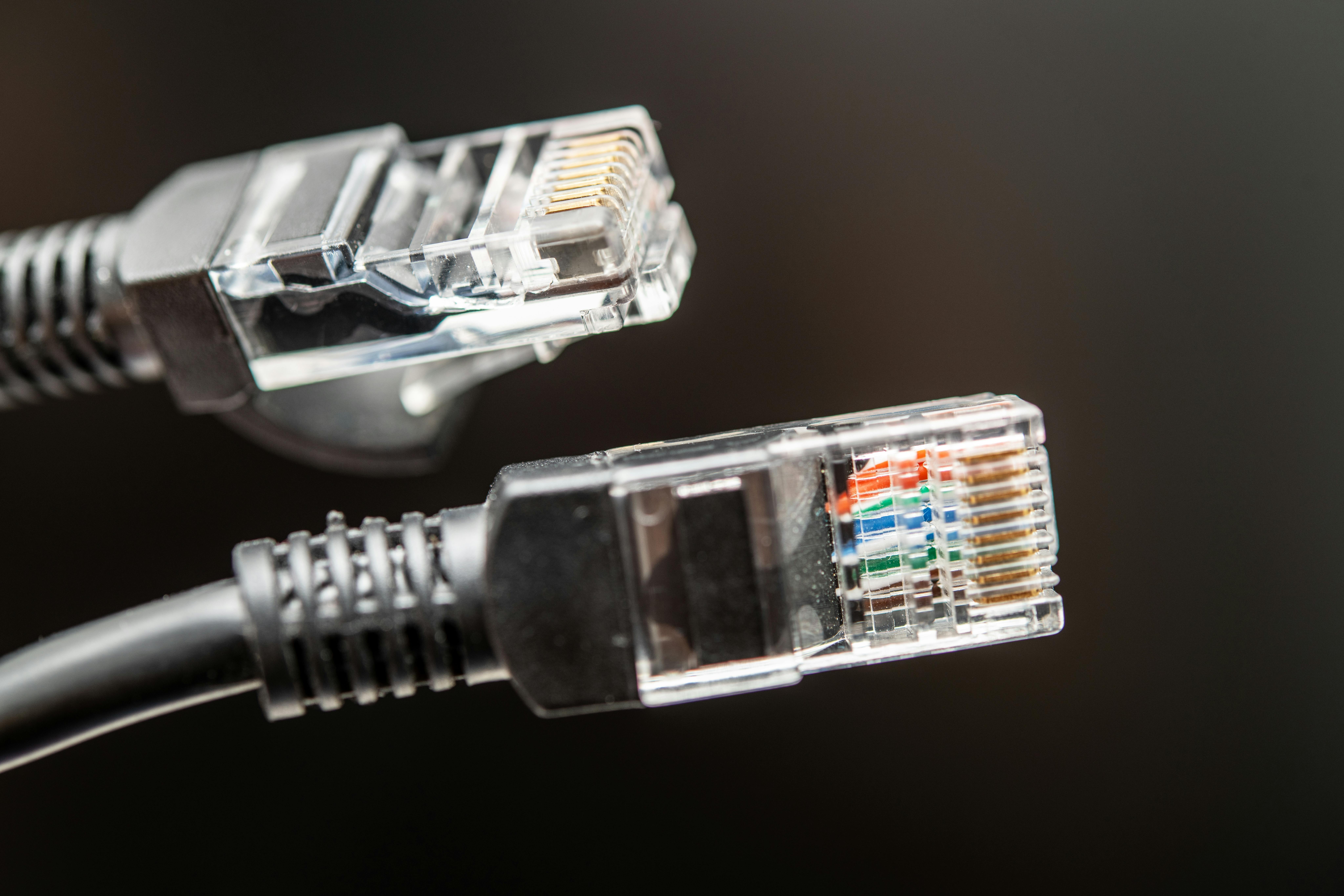 Two network Ethernet cables featuring clear connectors and detailed wiring