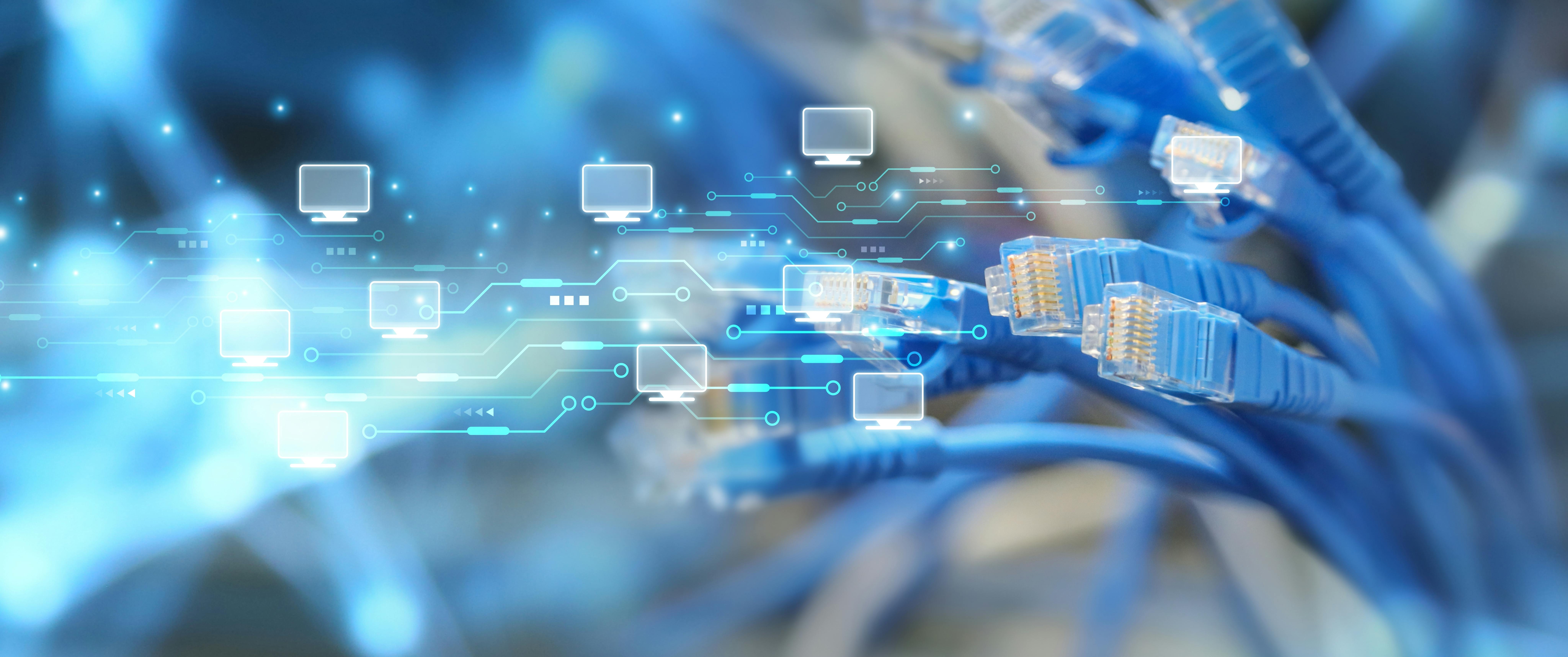 shutterstock_2432395783