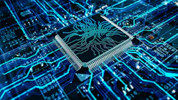 675b4fad60b0b30562a573e6 Shutterstock 2198551397 675b4fad60b0b30562a573e6 Shutterstock 2198551397