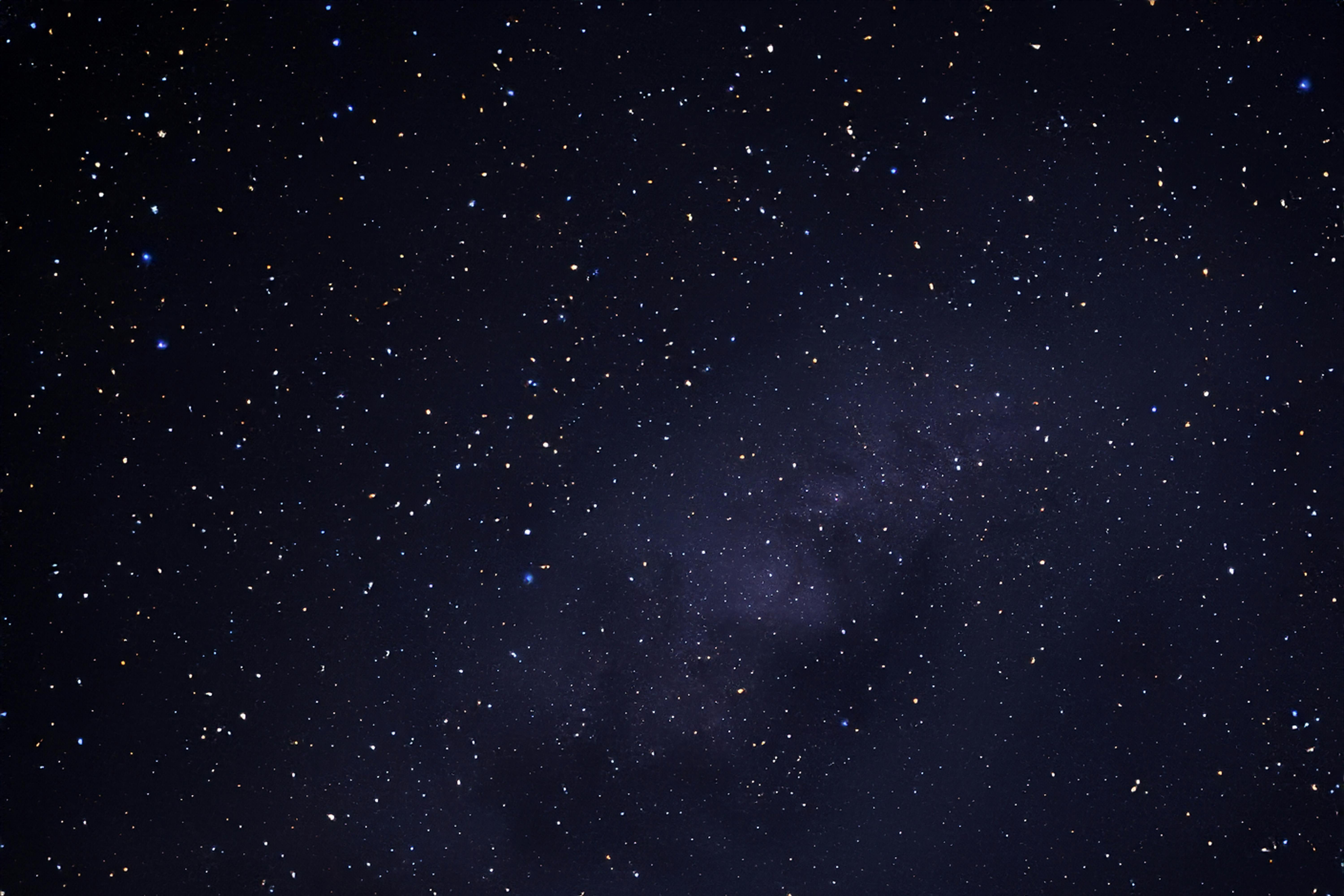 675c4174ff9ba97ba406f3f4 Shutterstock 2491215327