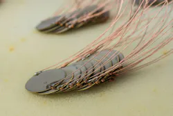 6787e3efa6c816afe4fadccc Shutterstock 2226742973 6787e3efa6c816afe4fadccc Shutterstock 2226742973