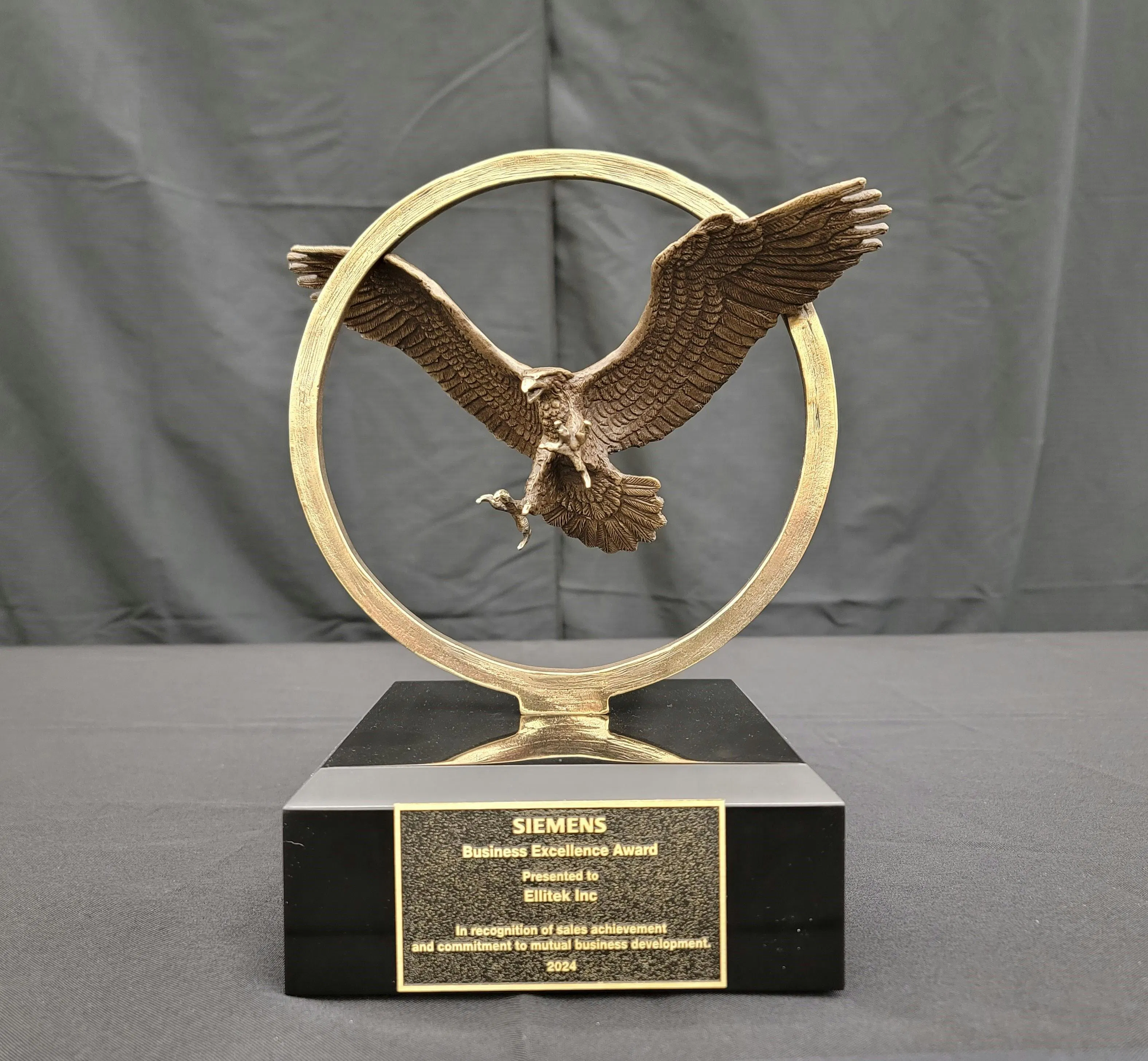 Figure 1: Siemens presents the Eagle Award to a select group of partners who deliver customer support, technical know-how and strategic growth.