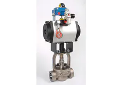 CT2106-Roundup-conval CT2106-Roundup-conval