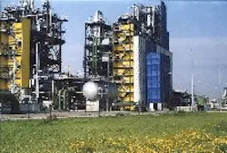 1660255186785 News 174 Emerson Huntsman 1660255186785 News 174 Emerson Huntsman