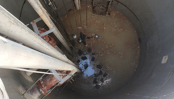 Fig1-IMG-20210902-144819-web