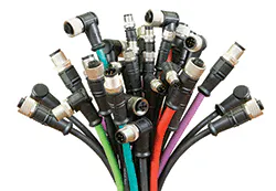 CT2108-dinkle-web CT2108-dinkle-web