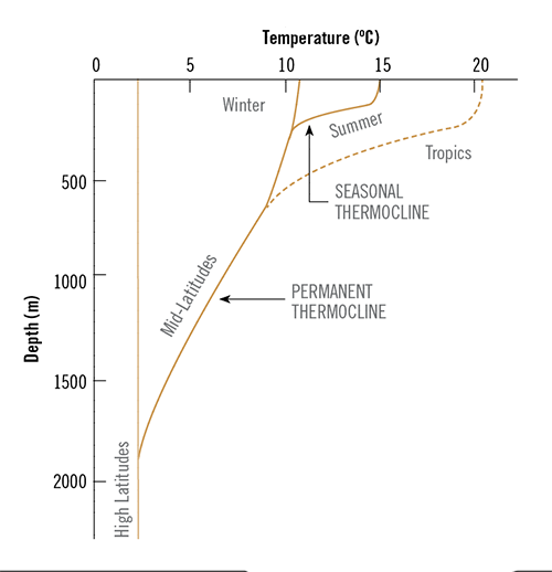 1660318421333 Ct2005lessonsfig3