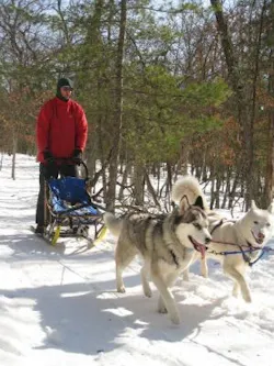 Sands-personal-300-compressor Sands-personal-300-compressor