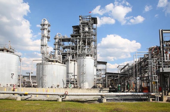 1660319992558 Cg1507arboris