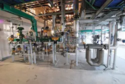 CG1010_Plant2 CG1010_Plant2