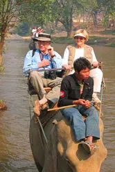 article_127_lloyd article_127_lloyd