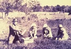 article_214_fig2 article_214_fig2