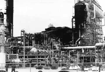 1660339184723 Article 140 Mostia Humanerror2