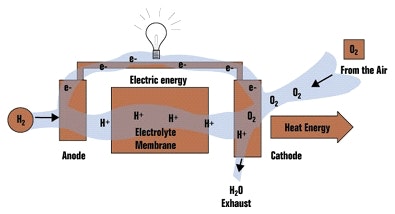 1660339282099 Article 089 Fig1