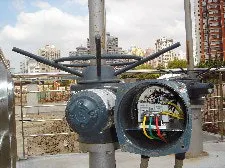 article_465_fig2 article_465_fig2