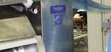 1660602079409 Cg1405pastryplantthumb