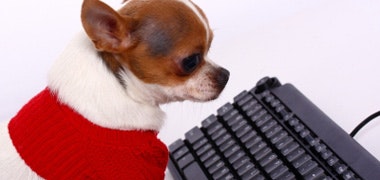 1660602224445 Cg1401dogtrick