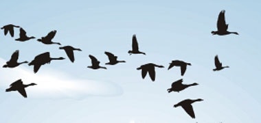 1660602822699 Yoko12migration