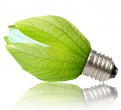 1660602929977 Ra12greenbulb 1660602929977 Ra12greenbulb