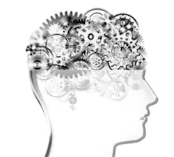 1660602934274 Ra12motorbrain 1660602934274 Ra12motorbrain