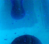 1660604665597 Cg1105 Lube