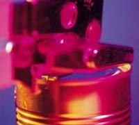 1660605008946 Cg1010 Worms