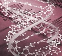 1660605058280 Raf10 Dna