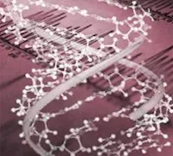 1660605058280 Raf10 Dna 1660605058280 Raf10 Dna