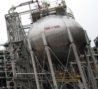 1661898345385 Cg1010 Plant