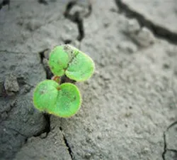 1661898654248 Cg0910 Covstrybutton 1661898654248 Cg0910 Covstrybutton