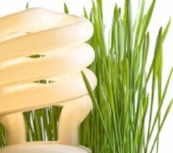 1661898793679 Cg0903 Greenabb 1661898793679 Cg0903 Greenabb