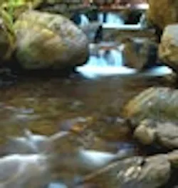 1661898796494 Cg0810 Flowbutton 1661898796494 Cg0810 Flowbutton