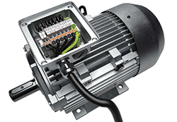 1663366742383 Ct2111showcasewagoweb