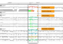 1663367020901 Falconrypredictiondetails06250