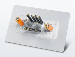 1663367354602 Phoenixcontactcableentrysystemmultigatesen 1663367354602 Phoenixcontactcableentrysystemmultigatesen