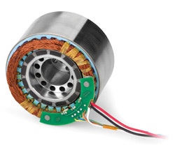 1663367726855 Cg1501rubei