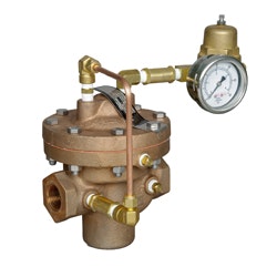 CG1411-cashco-NPT1393