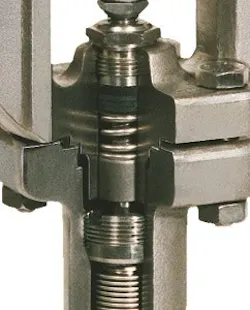 1663368312446 Cg1307rusamson 1663368312446 Cg1307rusamson