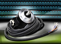 1663368497506 Cg1305koyo