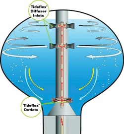 CG1105_Prod-Tideflex