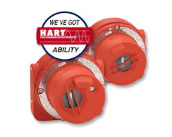 1663370471901 Genmonlores 1663370471901 Genmonlores