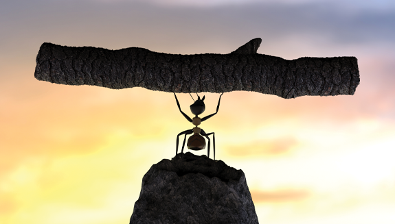 1663606707606 Ct2206coverhero