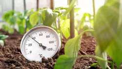 Shutterstock 2155023227 6398e1980fc9d Shutterstock 2155023227 6398e1980fc9d