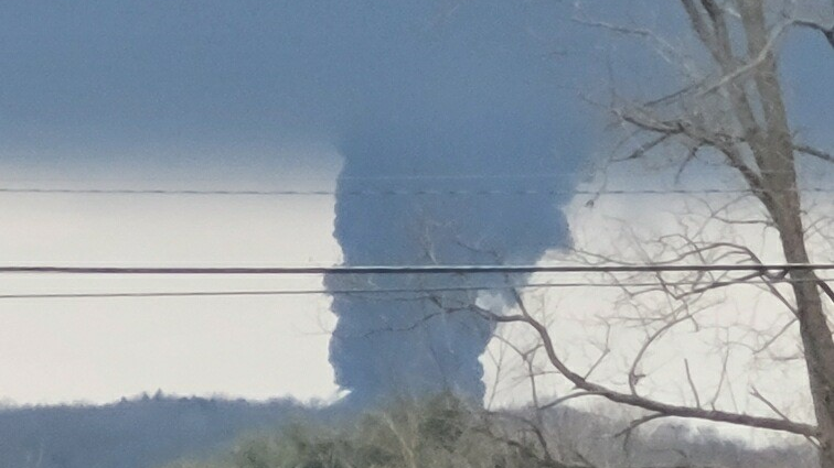 Eat Palestine 1 640341c5152b3