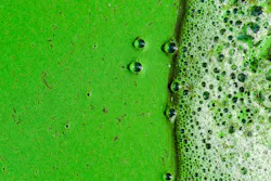 Clearing Harmful Algal Blooms 652da355eb74d Clearing Harmful Algal Blooms 652da355eb74d