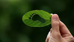 665ddd55a1291c4a782bf589 Processing The Human Footprints Impact 665ddd55a1291c4a782bf589 Processing The Human Footprints Impact