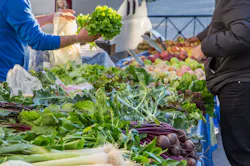 667d838ff7b60d8781d39594 This Little Instrument Went To Market 667d838ff7b60d8781d39594 This Little Instrument Went To Market